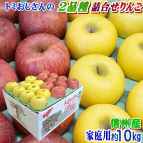 ●【送料無料】【クール便】CA貯蔵！長野県産 トミおじさんのりんご！2品種詰合せ　Cランク（家庭用）約10kg（28-36玉）訳あり（キズ、色ムラなど）1度で2度美味しい！信州の自慢の2品種！【シナノゴールド・サンふじ】産地直送！