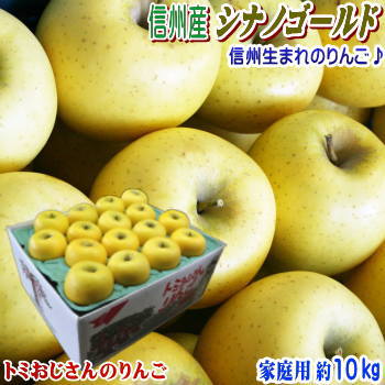 【送料無料】長野県産 シナノゴールド Cランク（家庭用）約10kg（24-36玉）訳あり（キズ、色ムラなど）やっぱり本物のゴールドの味は信州産！シャキシャキりんごでお届け！産地直送！【ラッキーシール対応】★