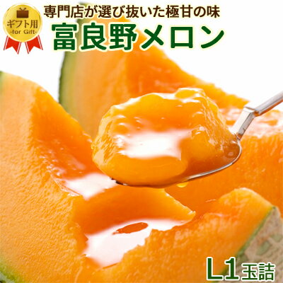 お中元 富良野メロン 大玉Lサイズ1玉詰[1玉約1.6kg] 【7月上旬発送開始】送料無料 秀品　富良野 ふらのメロン めろん 北海道産 北海道 御中元 暑中見舞 残暑見舞 御礼 御祝 敬老の日 ギフト 内祝い お返し フルーツ お取り寄せ 産地直送