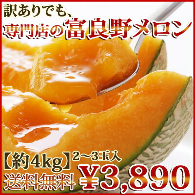 【送料無料】他とは違う！メロン専門店の訳ありメロン約4kg[2〜3玉入]10P11Apr15