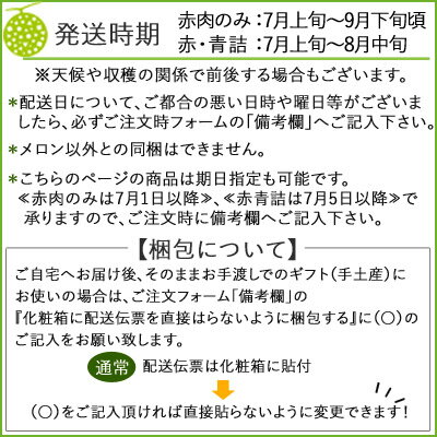 【早割400円OFFクーポン！】お中元 富良野メロン 大玉Lサイズ2玉詰[2玉約3.2kg]送料無料【7月上旬より発送開始】 秀品 贈答 富良野 ふらのメロン 御中元 お中元暑中見舞 御礼 御祝 ギフト 内祝い お返し フルーツ お取り寄せ