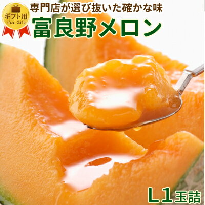 富良野メロン 大玉Lサイズ1玉詰 [1玉約1.6kg] 送料無料 秀品 贈答 北海道 富良野 ふらの メロン お中元 御中元 暑中見舞 御礼 御祝 内祝 フルーツ お取り寄せ