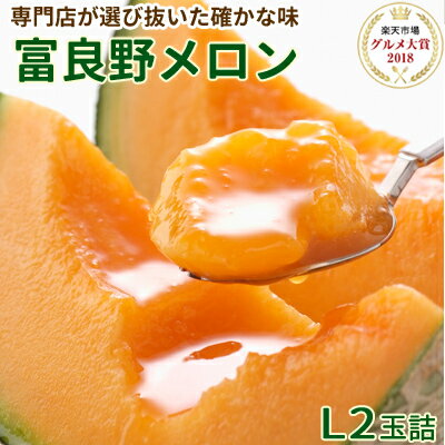 御中元 富良野メロン 大玉Lサイズ2玉詰 [2玉約3.2kg] 送料無料 秀品 贈答 北海道 富良野 ふらの メロン お中元 暑中見舞 ギフト お返し 果物 フルーツ お取り寄せ