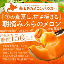 お中元 メロン 富良野メロン 2玉 約3.2kg Lサイズ 秀品 贈答用【糖度15度以上】【送料無料】【産地直送】北海道 富良野 ふらの 夏ギフト 果物 ギフト 赤肉メロン フルーツ くだもの お取り寄せグルメ 内祝い お返し 食べ物 食品 贈り物 御中元 ご予約 プレゼント 2