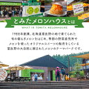 お中元 メロン 富良野メロン 2玉 約3.2kg Lサイズ 秀品 贈答用【糖度15度以上】【送料無料】【産地直送】北海道 富良野 ふらの 夏ギフト 果物 ギフト 赤肉メロン フルーツ くだもの お取り寄せグルメ 内祝い お返し 食べ物 食品 贈り物 御中元 ご予約 プレゼント 3