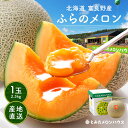お中元 メロン 富良野メロン 1玉 約2.3kg XXLサイズ 秀品 贈答用【糖度15度以上】【送料無料】【産地直送】北海道 富良野 ふらの 果物 ギフト 赤肉メロン フルーツ くだもの お取り寄せグルメ 内祝い お返し 食べ物 食品 贈り物 予約 プレゼント 特大 お盆 お供え