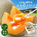 お中元 メロン 富良野メロン 4〜6玉 約8.0kg 秀品 贈答用【糖度15度以上】【送料無料】【産地直送】北海道 富良野 ふらの 果物 ギフト 赤肉 フルーツ...