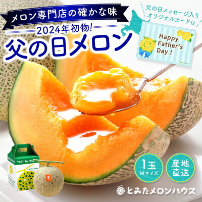 父の日ギフト 富良野メロン 1玉 約1.35kg Mサイズ 初物 朝もぎ【糖度15度以上】【送料無料】【産地直送】メロン 北海道 富良野 ふらの 果物 ギフト 赤肉メロン フルーツ くだもの お取り寄...