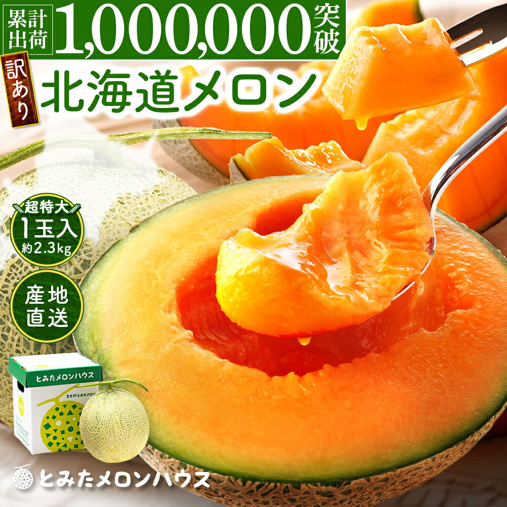 訳あり とみたメロン 超特大2.3kg［1玉入］ 楽天限定販売！ 送料無料 北海道産（富良野メロン、他） ハネメロン 北海…