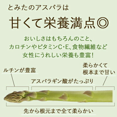 北海道 アスパラ 2色食べ比べセット(グリーン＆ホワイト)合計2.0kg[グリーン600g+ホワイト400g入]×2箱 M〜2Lサイズ【5月後半より発送開始】食べ比べ 富良野・美瑛産 送料無料 露地栽培 アスパラガス ホワイトアスパラ お取り寄せグルメ