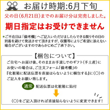 遅れてごめんね 父の日 富良野メロン M1玉詰（約1.3kg）送料無料 メロン 初物 6月出荷！朝もぎ ギフトプレゼント 赤肉メロン 果物 フルーツ 北海道物産展 北海道 復興 ふっこう 応援