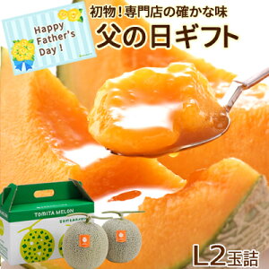 父の日 富良野メロン L2玉詰（2玉約3.2kg）送料無料 北海道 初物 朝もぎ 父の日ギフト ギフト 贈り物 贈答品 プレゼント メロン 果物 フルーツ 食べ物 北海道物産展 お取り寄せ 御祝い 御礼