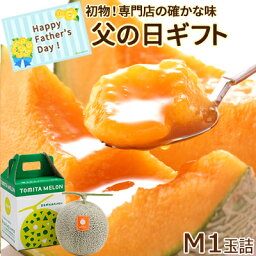 メロン 父の日 富良野メロン M1玉詰（約1.35kg）送料無料 北海道 初物 朝もぎ 父の日ギフト ギフト 贈り物 贈答品 プレゼント メロン 果物 フルーツ 食べ物 北海道物産展 お取り寄せ 御祝い 御礼