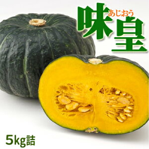 【予約】かぼちゃ 味皇 5kg詰 [2玉〜4玉入]【9月後半より発送開始予定】北海道 富良野産 送料無料 野菜 秋野菜 グルメ お取り寄せギフト 贈り物 御礼 御祝 お返し