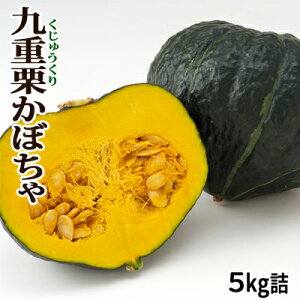【北海道のかぼちゃ】ほくほくで美味しいおすすめの北海道産かぼちゃは？