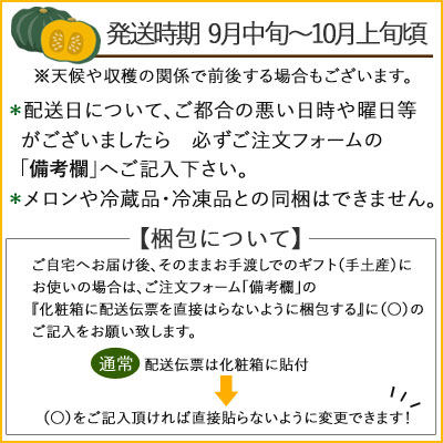 かぼちゃ 味皇 10kg詰[4玉〜7玉入]北海道 富良野産 送料無料★メロン農家が1玉ずつ丁寧に育てた自信作！ カボチャ