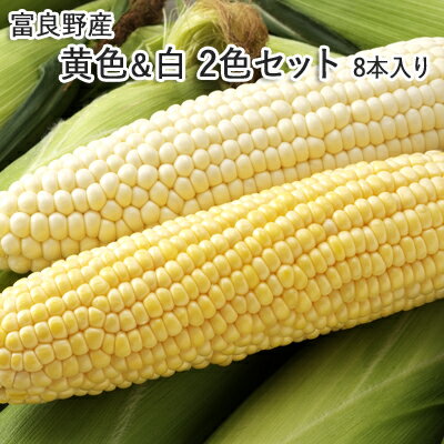 【予約】白＆黄色いとうもろこし 2