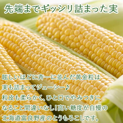 楽天市場 予約 黄色いとうもろこし L 2l混サイズ 皮付き8本入 送料無料 北海道 富良野 ふらの コーン とうもろこし スイートコーン 北海道物産展 北海道 復興 ふっこう 応援 とみたメロンハウス楽天市場店