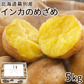 じゃがいも インカのめざめ 5kg M・S混みサイズ 北海道 幕別産 送料無料 ジャガイモ 野菜 秋野菜 越冬 贈り物 御礼 御祝 お返し 御歳暮 お歳暮 グルメ お取り寄せ ギフト