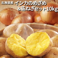 インカのめざめ&玉ねぎセット 10kg 混みサイズ送料無料 秋野菜 北海道 幕別 ジャガイモ 御歳暮 お歳暮 御礼 お礼 御祝 お祝い お返し