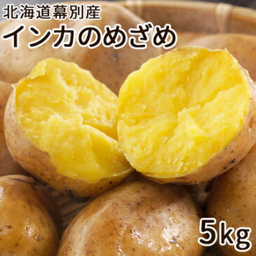 【予約】じゃがいも インカのめざめ 5kg M・S混みサイズ【11月中旬より発送開始予定】北海道 幕別産 送料無料ジャガイモ 野菜 秋野菜 贈り物 御礼 御祝 お返し 御歳暮グルメ お取り寄せ ギフト