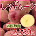 【送料無料】赤いじゃがいもレッドムーン5kg 最高のじゃがバターが出来ます!05P08Feb15 - 富良野グルメ工房【とみたメロン】