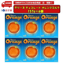 テリーズ チョコレート オレンジミルク 157g 6個セット 賞味期限2025.03.28