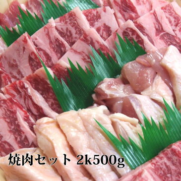 母の日 ギフト 送料無料 焼肉セット 2k500g 牛肉 焼肉 国産 カルビ 牛タン オーカク ハラミ 豚カルビ 鶏モモ 黒毛和牛肉 焼き肉セット バーベキューセット bbq セット バーベキュー 肉 誕生日プレゼントギフト 贈答品 ギフト 父の日 新生活 2021