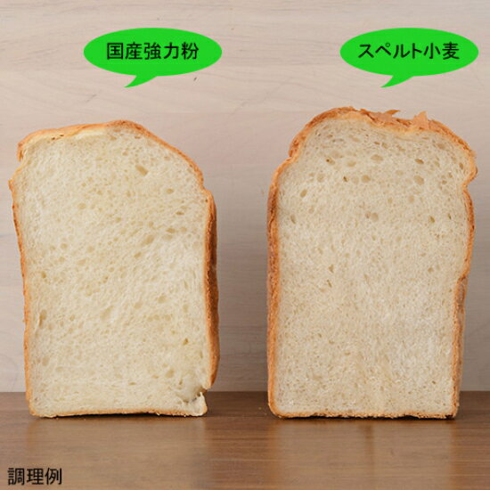 TOMIZcuoca（富澤商店・クオカ）スペルト小麦粉/1kg