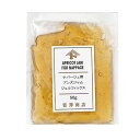 エントリーでポイント5倍! ナパージュ用アンズジャム(ジェルフィックス) / 50g【 冷蔵便 】【 富澤商店 公式 】