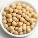 <7月中はエントリーで毎日P5倍!>北海道産 大豆 / 30kg【 富澤商店 公式 】