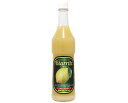 エントリーでポイント5倍! ビアリッツ レモンプロフェッショナル / 700ml【 富澤商店 公式 】