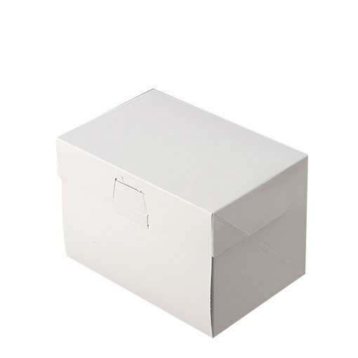 ロックボックス 長方形タイプ(3.5×5) / 3枚【 富澤商店 公式 】