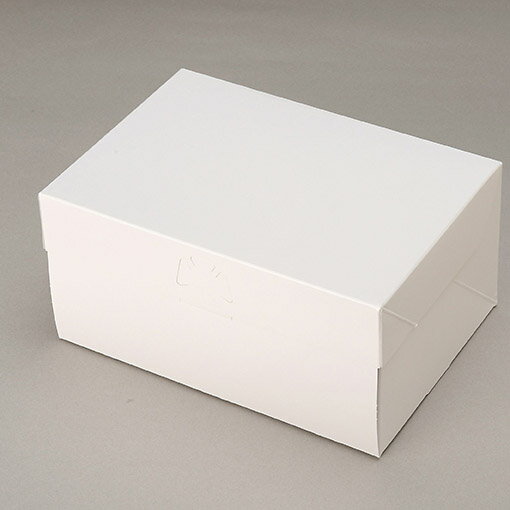 ロックボックス 長方形タイプ(5×7) / 3枚【 富澤商店 公式 】