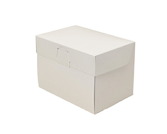 ロックBOX 105 ホワイト 3.5×5 / 1枚【 取り寄せ 】【 富澤商店 公式 】