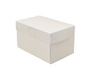 エントリーでポイント5倍! ロックBOX 105 ホワイト 4×6 / 1枚【 富澤商店 公式 】