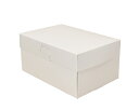 ロックBOX 105 ホワイト 5×7 / 25枚【 富澤商店 公式 】