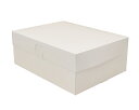ロックBOX 105 ホワイト 7×9 / 1枚【 富澤商店 公式 】