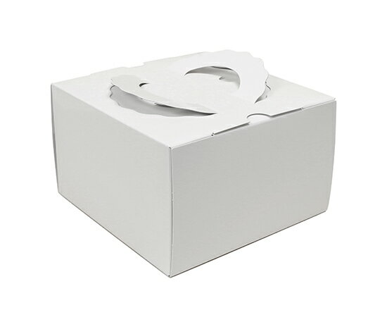 TD 白ム地 5寸 (本体) / 1枚【 富澤商店 公式 】