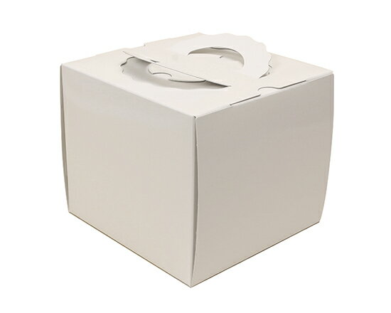 H140 TD 白ム地 4.5寸 (本体) / 1枚【 富澤商店 公式 】