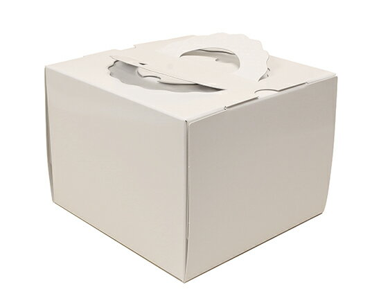 H140 TD 白ム地 5寸 (本体) / 1枚【 富澤商店 公式 】