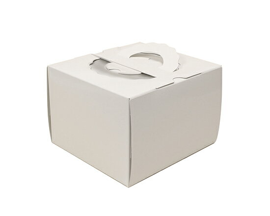 H120 TSD ����� 4.5�� �����Ρ� / 5��� ��߷��Ź ���� ��