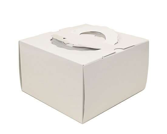 H120 TSD 白ム地 5寸 (本体) / 1枚【 取り寄せ 】【 富澤商店 公式 】