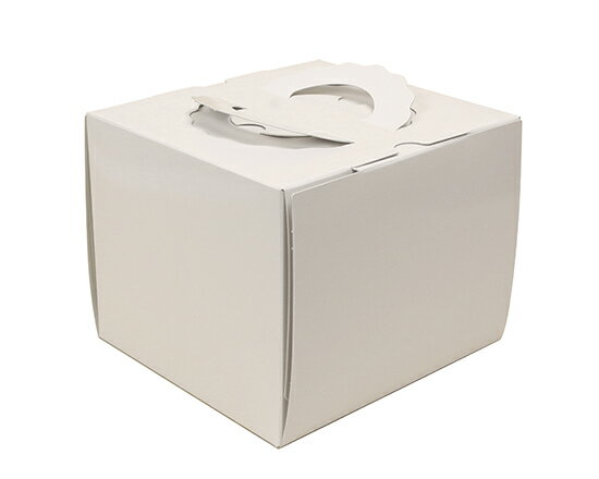 H140 TSD 白ム地 4.5寸 (本体) / 1枚【 取り寄せ 】【 富澤商店 公式 】