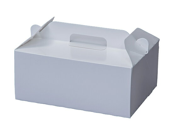 WDホワイト105 6×8.1 / 1枚【 富澤商店 公式 】