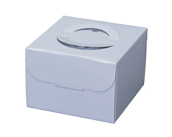 手提ホワイト HP130 5号 (本体) / 5枚【 富澤商店 公式 】