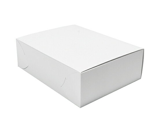 KSカートン折 No.9 / 1枚【 富澤商店 公式 】