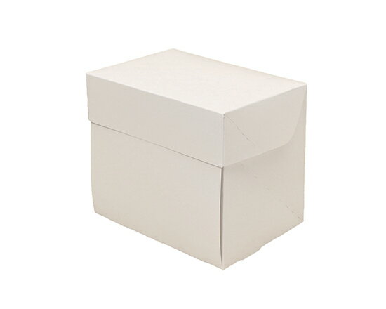 CP 105 ホワイト 3×4 / 1枚【 取り寄せ 】【 富澤商店 公式 】