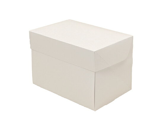 CP 105 ホワイト 3.5×5 / 50枚【 富澤商店 公式 】