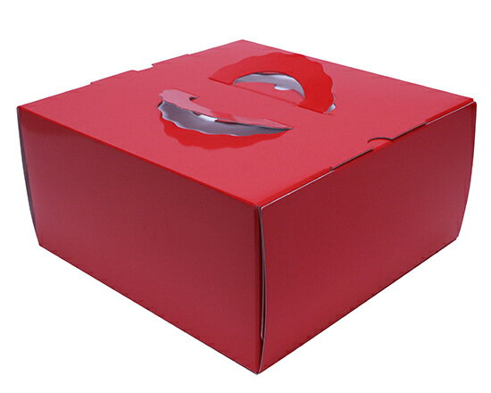 TD レッド 8寸 (本体) / 5枚【 取り寄せ 】【 富澤商店 公式 】